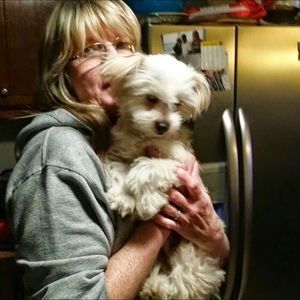 Meet your Posher, Frank